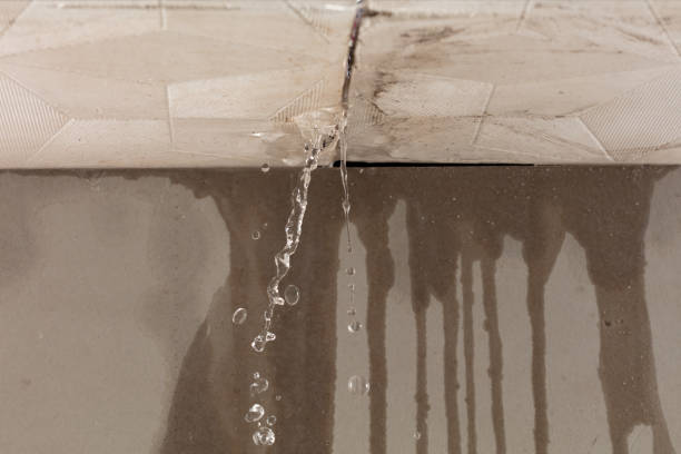 Professional Structural Drying technician working in Fountainville, PA